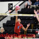 Volleyball-LHS-2019-20-Glendale-Ozone-12