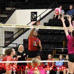 Volleyball-LHS-2019-20-Glendale-Ozone-20