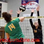 Volleyball-LHS-2019-20-Parkview-Ozone-12