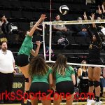 Volleyball-LHS-2019-20-Parkview-Ozone-16