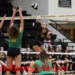 Volleyball-LHS-2019-20-Parkview-Ozone-18