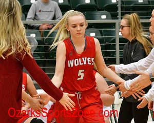 reedsspring-vs-catholic_gbb-007