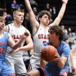 Basketball-Ozark-2019-20-Glendale-Districts-Ozone-6