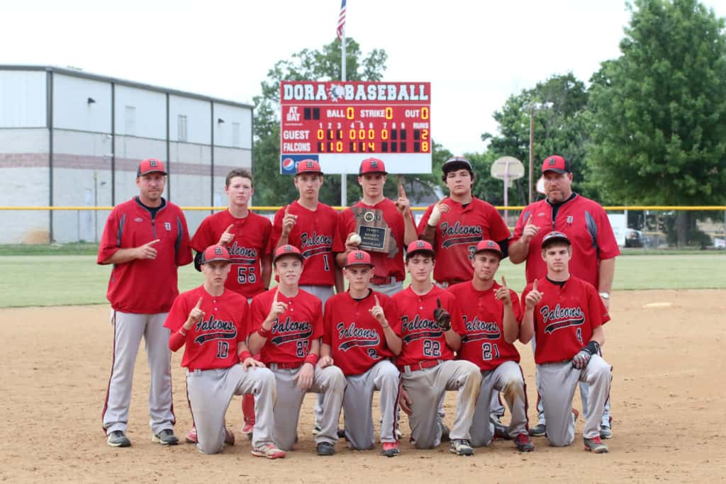 baseball-districts-302