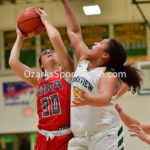 Nixa-vs-Parkview_014