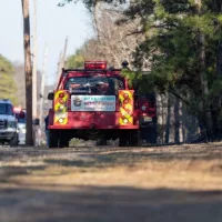 Fire company vehicles along Route 528 in Jackson^ NJ during a planned controlled burn of a section of the New Jersey pine barrens. Jackson^ NJ / USA - February 22 2020