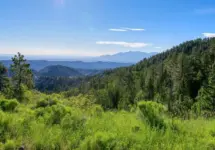 Larb Hollow Overlook along Utah Scenic Byway 12 near Torrey^ Utah