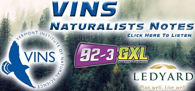 vins-naturalists-notes-banner