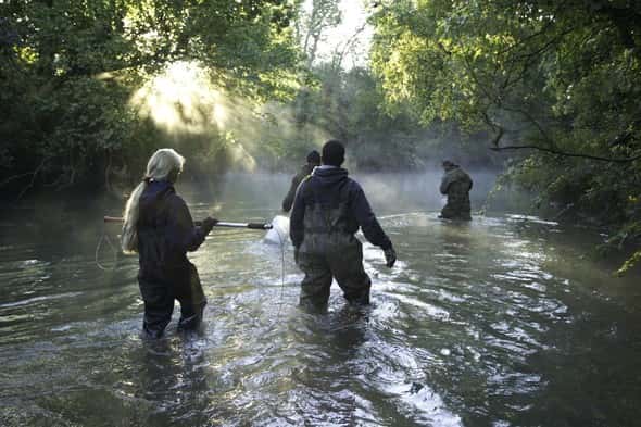 Photo Courtesy of MDC: