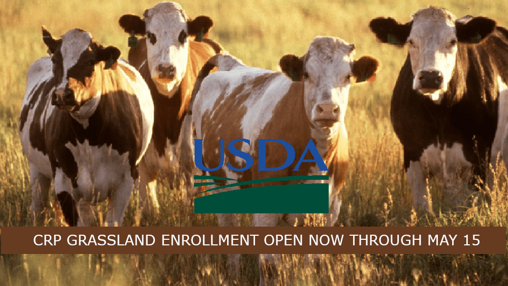ENROLLMENT FOR CRP GRASSLANDS IS OPEN NOW KMMO