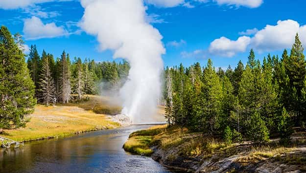 getty_111716_yellowstone