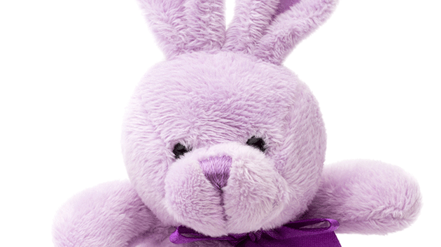 stuffed-bunny