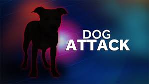 wireready_04-24-2017-10-00-02_08332_dog_attack