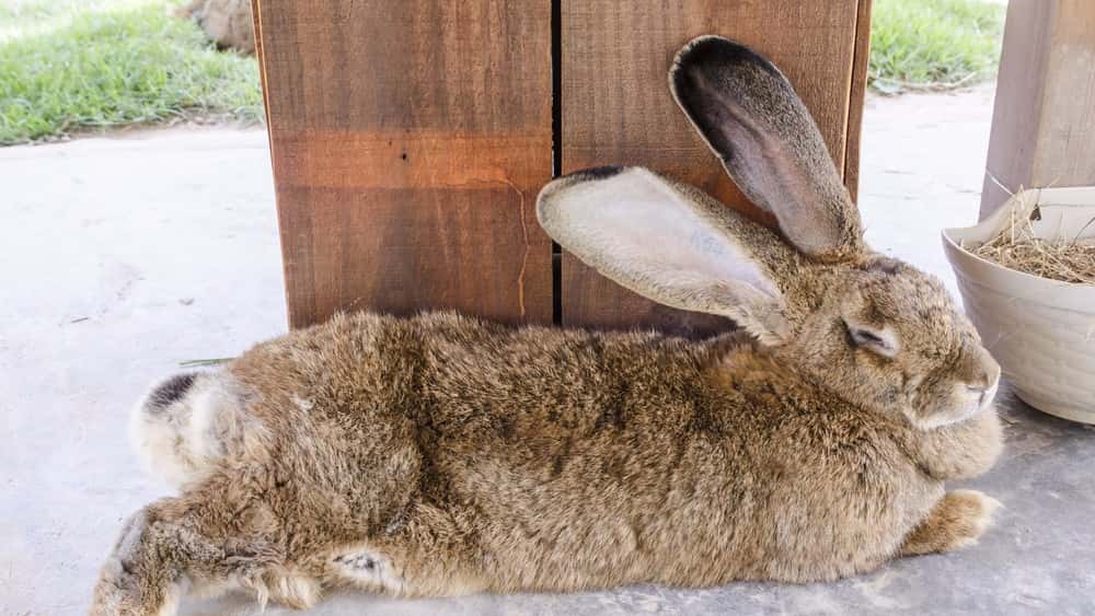 tmp829b7021-1557-4528-872f-c608b7c4b8d7-jpg