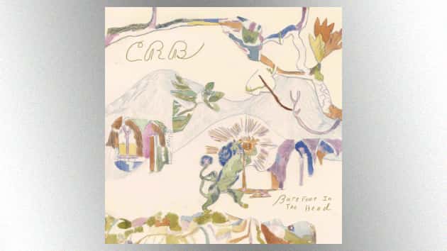 m_chrisrobinsonbrotherhoodbarefootinthehead630_051517