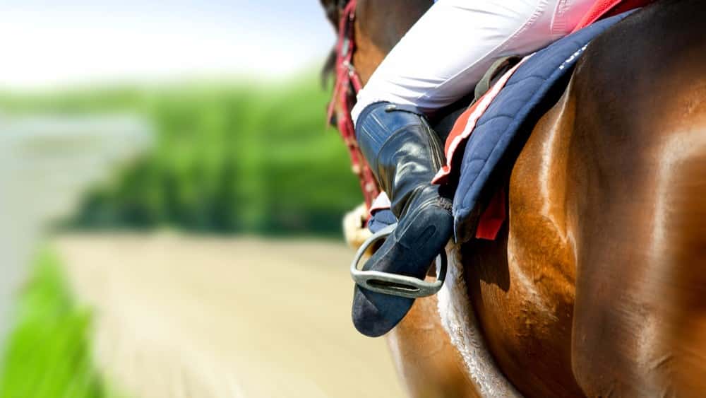 tmpe96b7c71-0356-4e7f-8f07-1500dba139d9-jpg