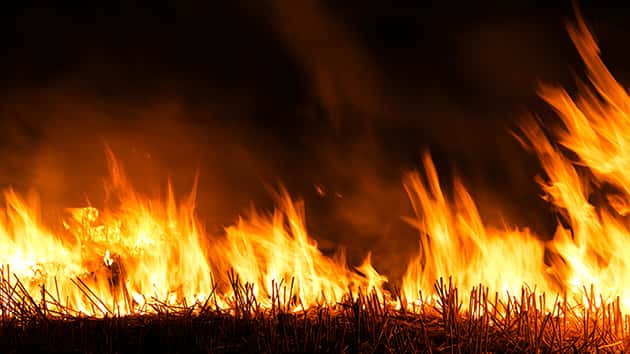 getty_71917_wildfire