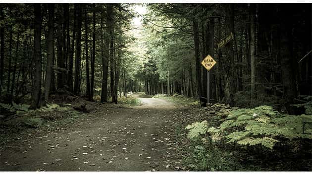 081717_thinkstock_forest