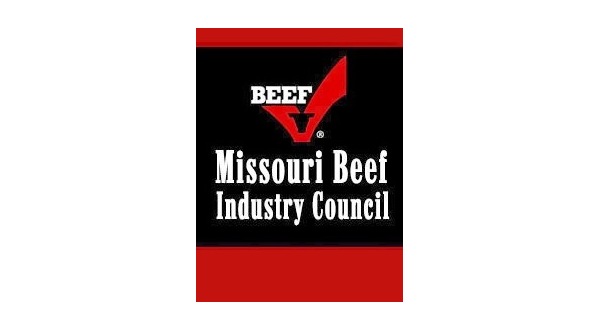wireready_10-27-2017-11-18-02_00267_mo_beef