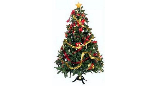 wireready_11-28-2017-11-22-03_00856_christmastree