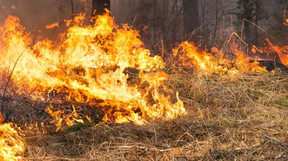 thinkstock_120617_wildfire