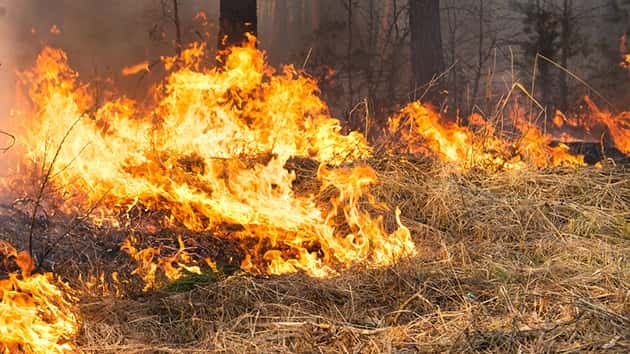 thinkstock_120717_wildfire