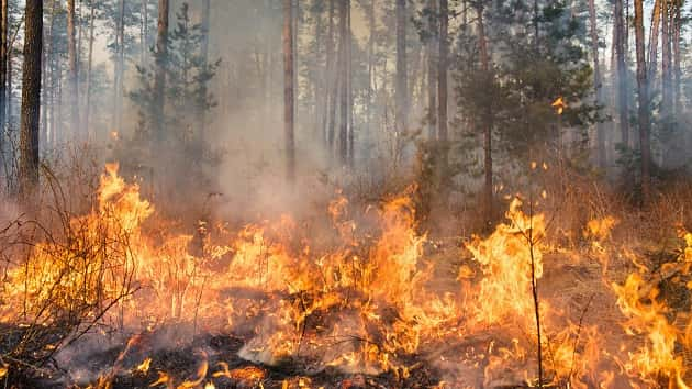 thinkstock_120817_wildfire3