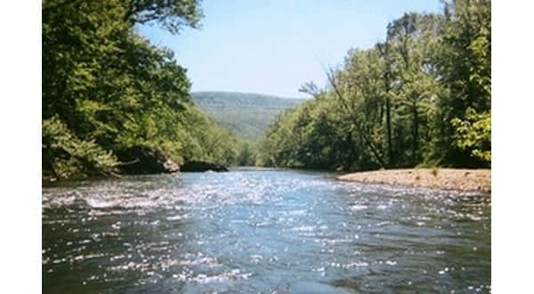 wireready_01-23-2018-11-48-17_01047_buffaloriver