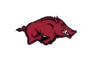 wireready_01-24-2018-10-36-02_10004_razorbacks1