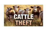 wireready_02-21-2018-11-30-03_01708_cattletheft