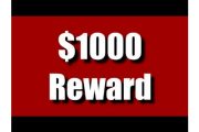 wireready_02-21-2018-13-08-02_01732_reward