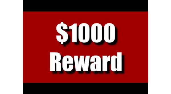 wireready_02-21-2018-13-08-02_01732_reward