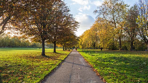 042118_thinkstock_park