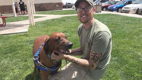 darrah_bull_bull_rescue_052318_dog