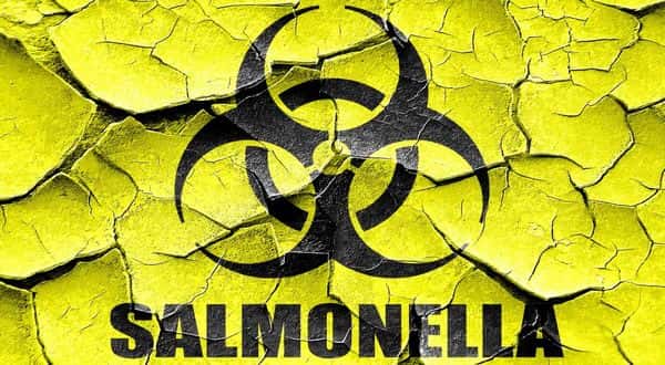 wireready_06-11-2018-09-10-02_02444_salmonella