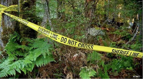 061118_komo_forrestexplosion