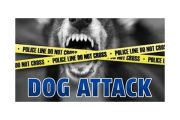 wireready_08-01-2018-15-16-02_03190_dogattack