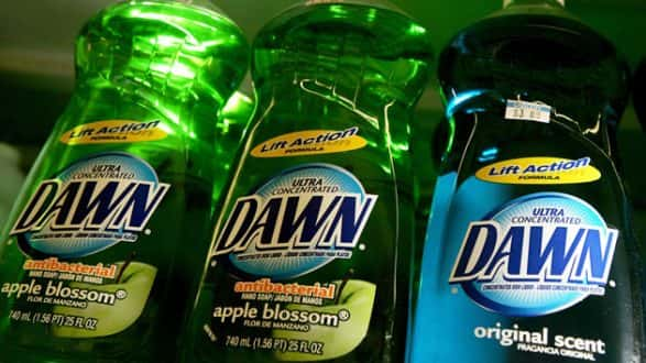 getty_dawndishsoap_080318