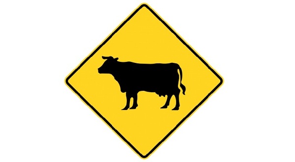 wireready_08-04-2018-11-00-02_03375_cowcautionsign