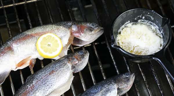 wireready_08-08-2018-19-48-05_03039_grilledtrout