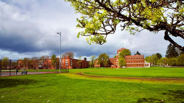 082218_thinkstock_osu