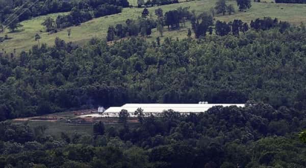 wireready_08-26-2018-11-22-09_03260_chhogfarm2