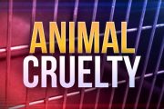 wireready_10-17-2018-17-42-01_05113_animalcruelty2