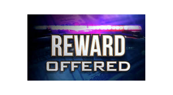 wireready_10-17-2018-20-32-02_05117_rewardoffered