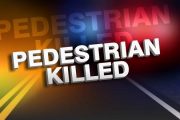 wireready_12-02-2018-03-40-02_06103_pedestriankilled2