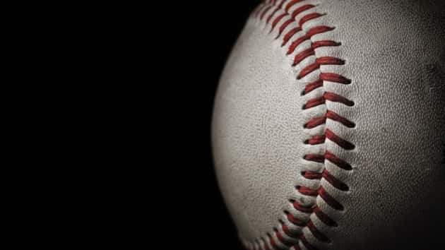 istock_120718_baseballdeaths