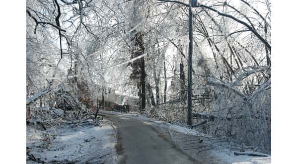 wireready_01-27-2019-12-24-02_07143_icestorm20094