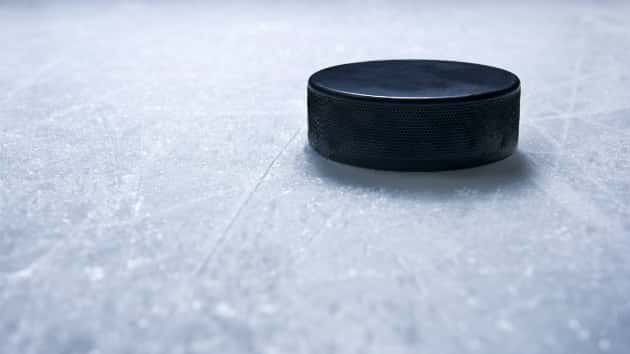istock_22519_hockeypuck
