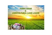wireready_02-28-2019-18-04-02_07793_farmloans