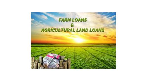 wireready_02-28-2019-18-04-02_07793_farmloans